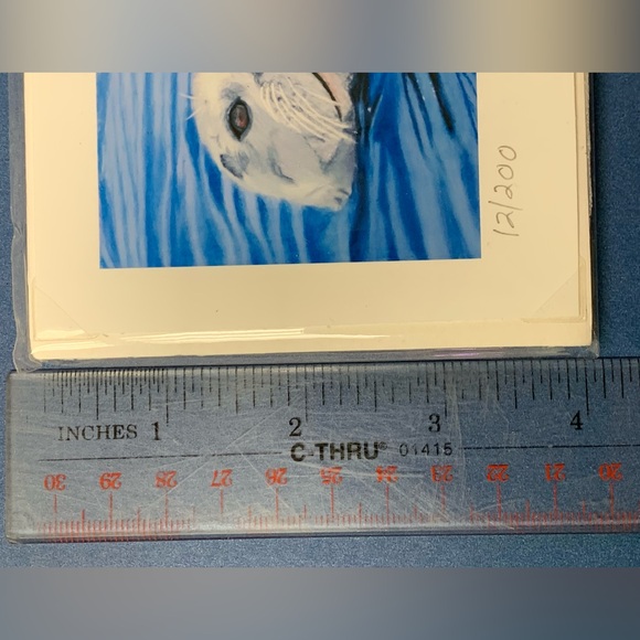 Harbor seal art print, ~ 8x4”. Coastal Cruiser -Laurie Cartwright 2016,12/200. - Picture 4 of 5